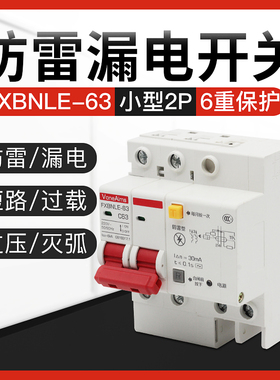 防雷漏电保护器 家用空气开关漏电断路器漏2P保漏电浪涌带指示灯