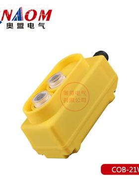 COB-21W直控开关  下按钮 直接控制电 葫动98660上芦