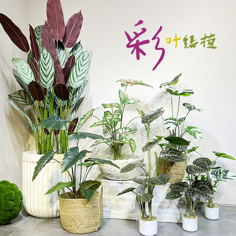 仿真彩色叶绿植物桌面落地盆栽竹彩芋天南星观音树龟背叶装饰摆设