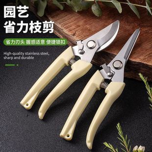 园艺剪子剪果树嫁接剪粗枝剪刀摘水果剪盆景造型剪花园园艺园林剪