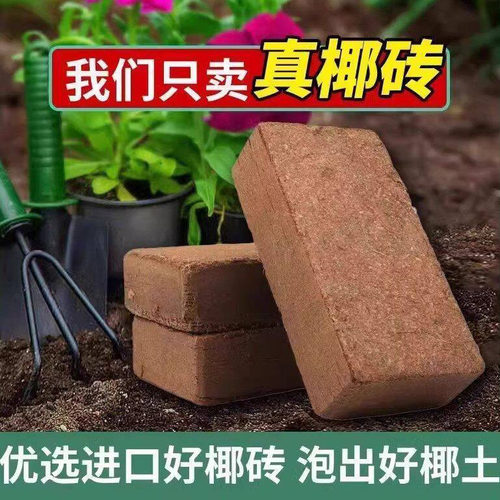 椰砖营养土无菌脱盐绿植