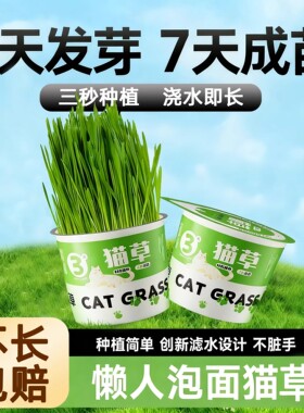 泡面猫草盆栽小麦水培猫草种植懒人猫草毛球片化毛草零食猫咪用品