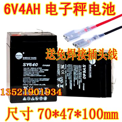 SHENGYANG晟阳蓄电池 SY640 6V4AH 玩具车 童车 电子称用电瓶