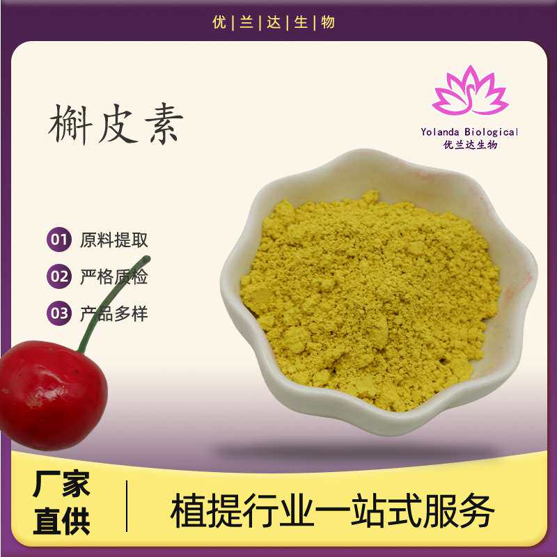 槲皮素98% 槐米提取物 117-39-5  槲皮素粉 现货包邮