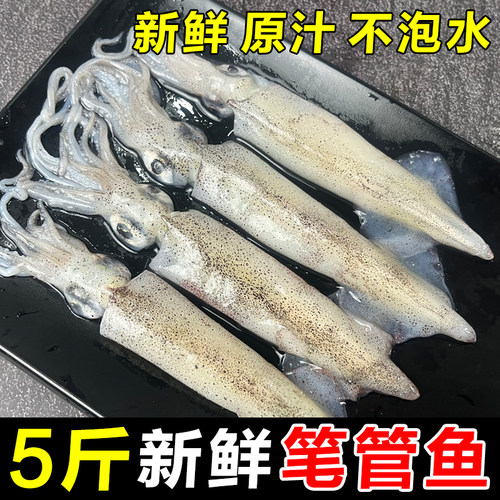 【野生海捕】鲜冻笔管鱼小管鱿鱼