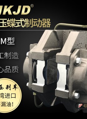 DBM-10油压碟式制动器液压刹车制动器油鼓夹紧式离合器DBM-20油毂
