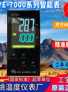 余姚温度仪表厂XTYE-7000 700W 701W 741W 751W 792W 791W液晶智
