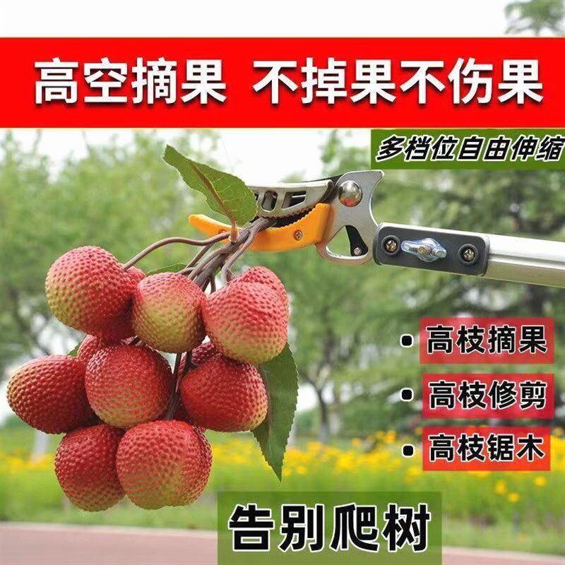 德国进口摘果神器伸缩杆高枝修枝剪高空加长摘果器摘龙眼枇杷荔枝