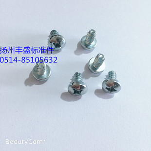 5.5 3.5 十字盘头割尾自攻螺丝BT型开槽平尾13806螺丝ST2.9