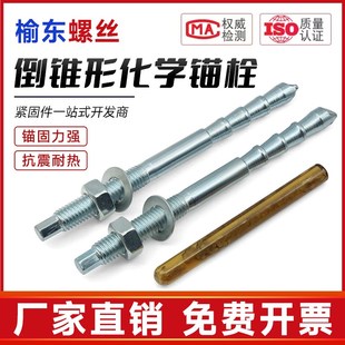 倒锥形化学螺栓5.8 8.8级高强定制锚栓螺丝M10M12M16M18M20M24M30