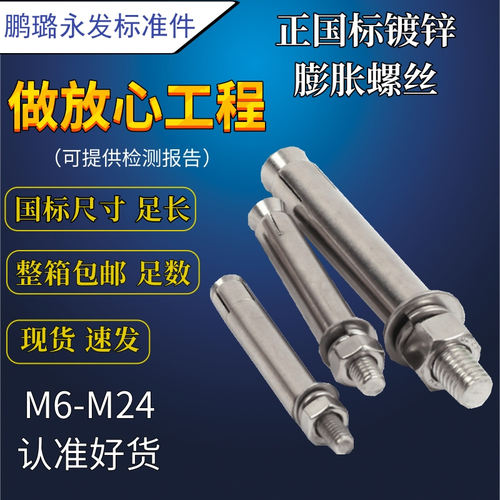 整箱国标镀锌膨胀螺丝大全加长膨胀螺栓螺母套装m6m8m10m12m16m20