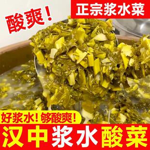 陕西汉中浆水菜宁强油菜浆水农家腌制无盐土酸菜引子500g袋装现做