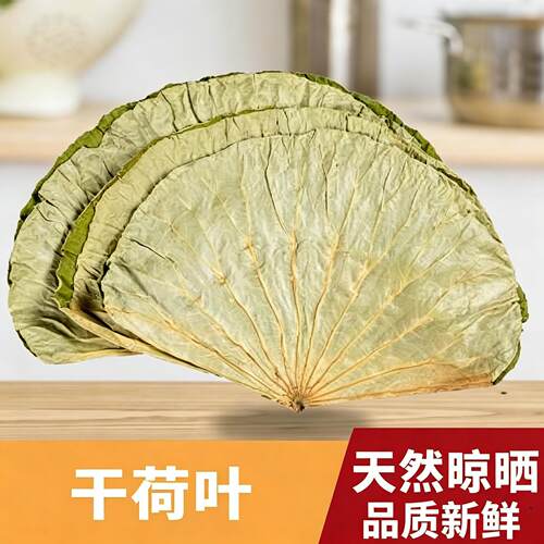 新鲜整张荷叶糯米鸡用荷叶饭叫化鸡专用荷叶大张莲藕叶熬粥荷叶片