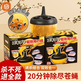 果蝇诱捕器家用自带诱饵球灭苍蝇贴强力粘蚊蝇纸板小飞虫捕捉神器