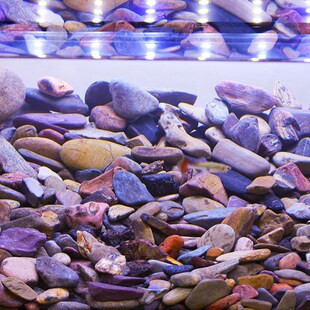 南美溪流沙鱼缸造景底砂水族箱溪流缸龟缸自然河沙雷龙生态装饰沙