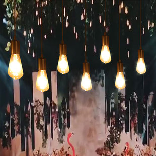 求婚室内布置装饰灯泡挂灯创意森系婚礼浪漫氛围灯饰户外防水灯串