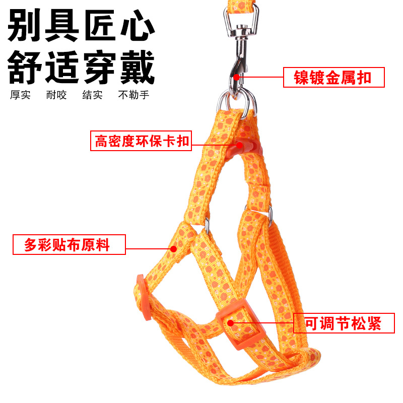 小狗狗牵引绳小型犬中型猫咪遛狗绳子泰迪狗链子胸背带宠物用品