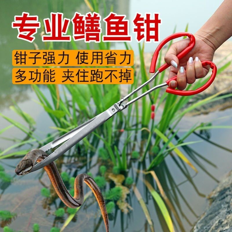 加粗全钢黄鳝夹子加长防滑鳝鱼夹不锈钢抓螃蟹泥鳅钳子赶海工具