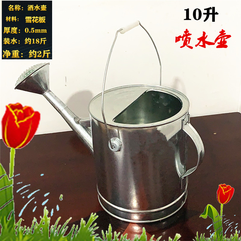 洒水壶大容量家用浇花壶农用浇菜水壶汽车鸭嘴型加水壶长嘴加油壶