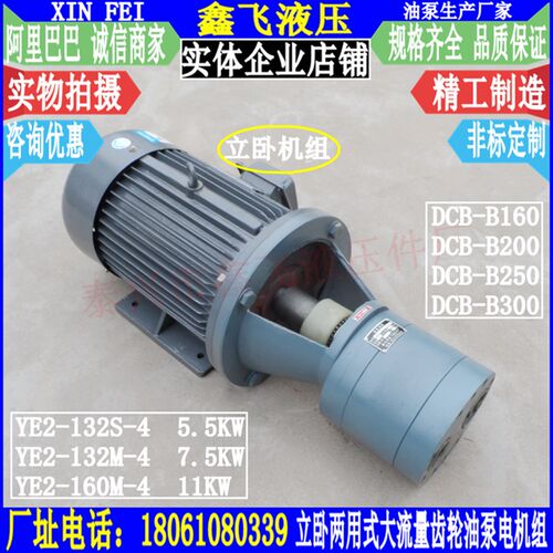 LWBZ-CB-B200 DCB-B250JZ立卧式齿轮油泵电机组 液压油泵装置