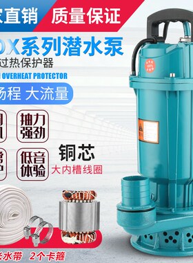 潜水泵家用220V抽水机高扬程泥浆抽水泵小型排污泵农用灌溉清水泵