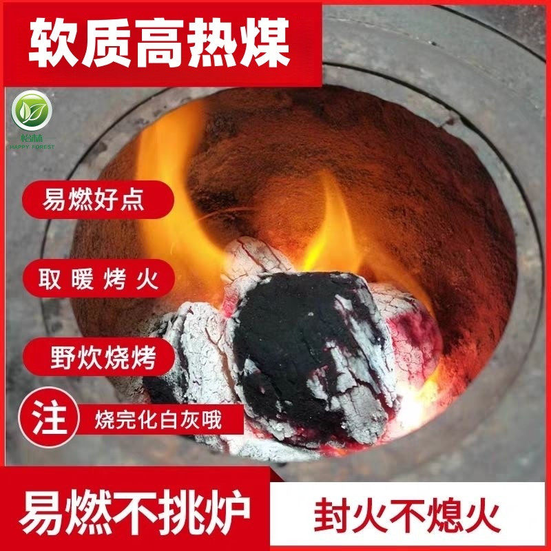 新款耐烧高温炉子家用烧煤取暖室内专用锅炉炭块无烟煤块50斤焦炭