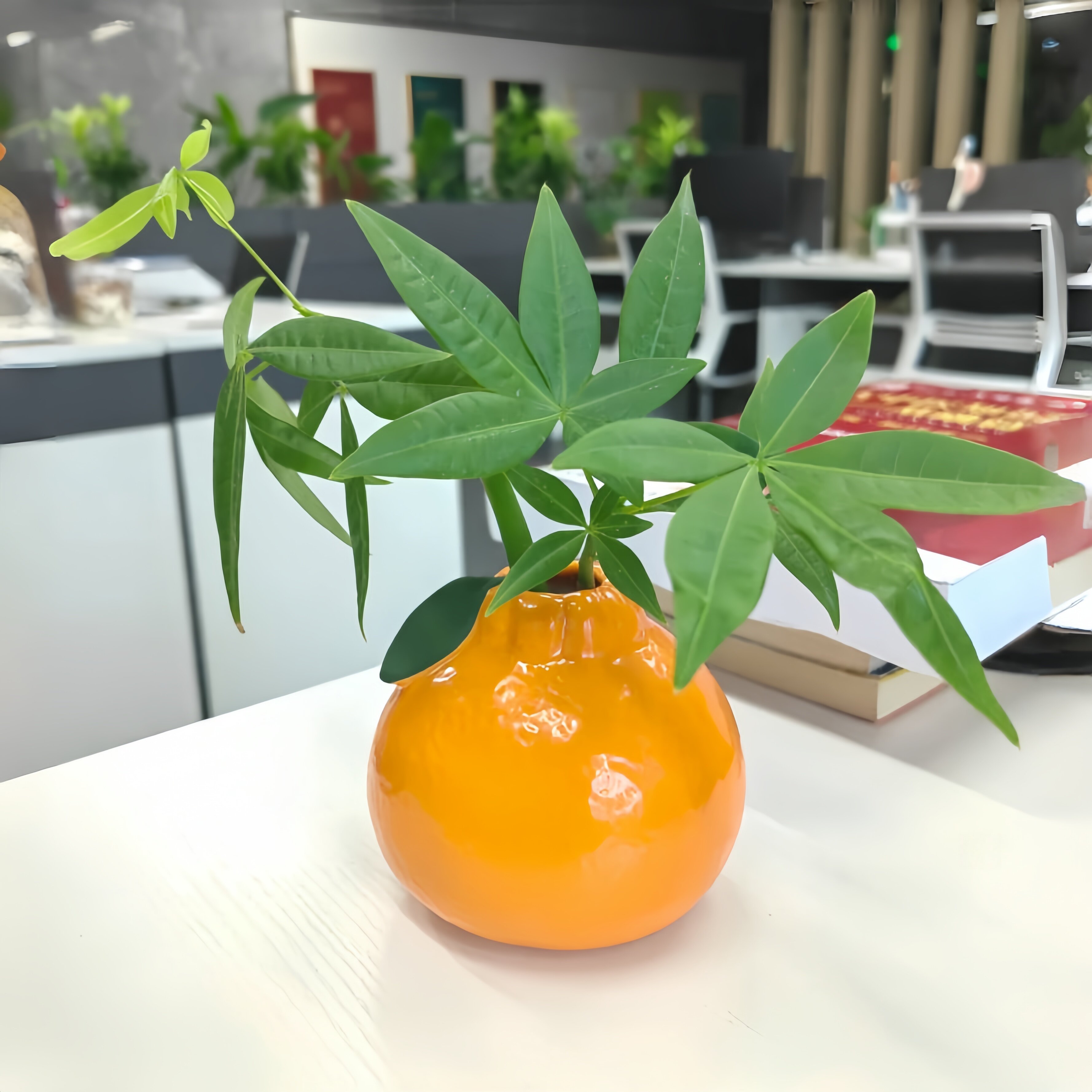 创意橘子花瓶陶瓷水养绿萝