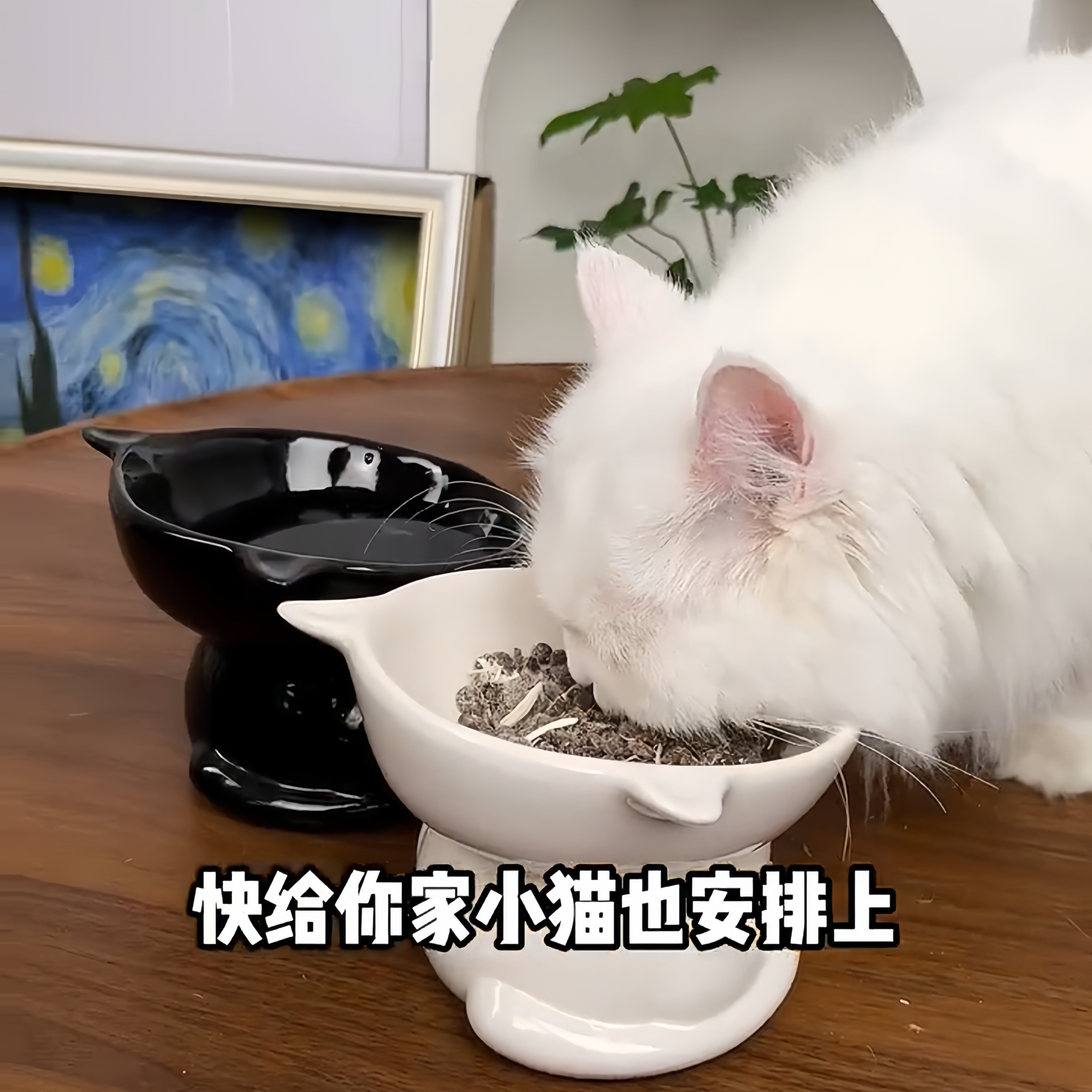 猫碗推荐高脚护颈防黑下巴