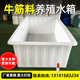 加厚牛筋养鱼塑料水箱养殖专用卖鱼塑料箱长方形牛筋盆方桶养龟箱
