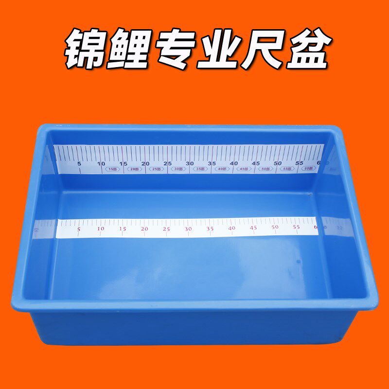 锦鲤赛场专业蓝色尺盆龙鱼渔场专用暂养盆测量尺度盆度量盘拍照盆