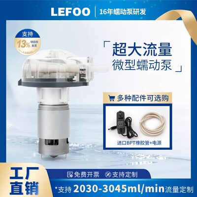 力夫12V大流量高精度微型静音蠕动泵实验24V直流电机自吸迷你水泵
