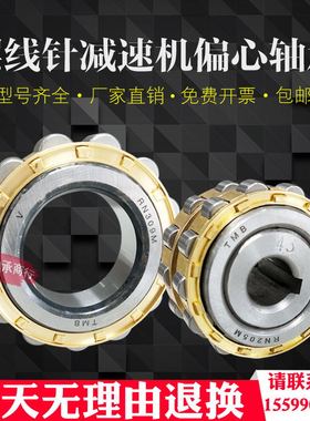 减速机偏心轴承 RN205 RN206 RN307 RN309 204 207 312 219 228 M