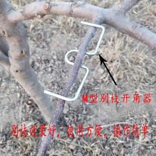 拉树神器别枝拉枝器果树SM固定器开角器压弯神器定型器枝条柑橘
