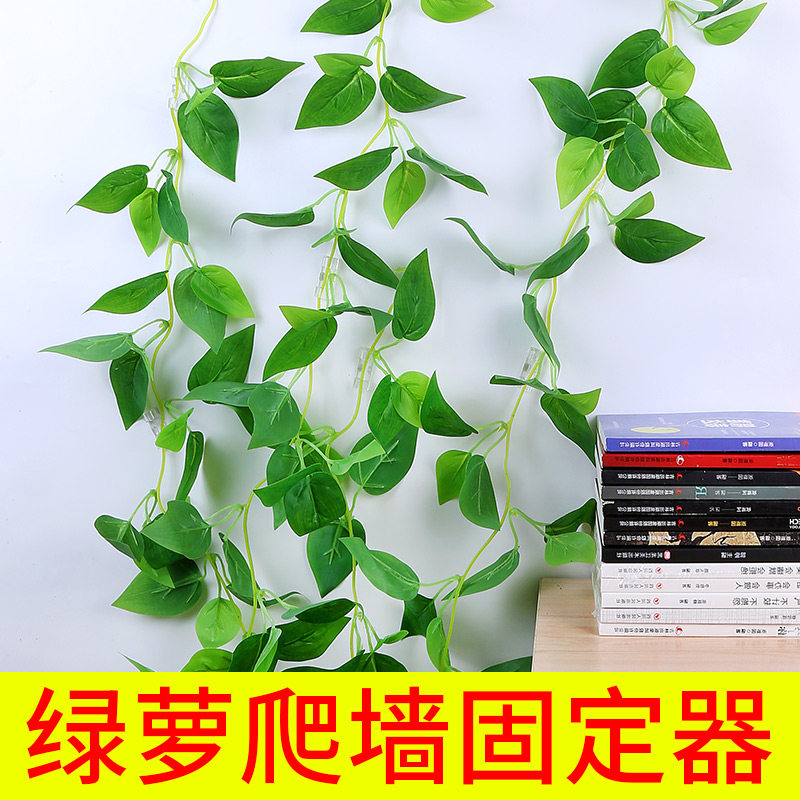 绿萝固定器藤条藤蔓粘墙挂钩挂勾墙勾免打孔强力贴绿植攀爬墙面贴