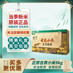新米5公斤小米肇源古贡古龙小米正宗古龙贡米 东北肇源特产