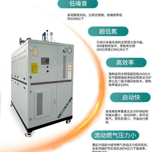 电加热蒸汽发生器燃油燃气蒸汽发生器混凝土养护熨烫用蒸汽发生器