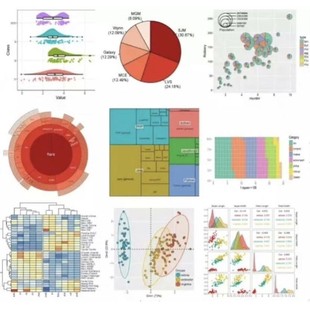 GSEA功能注释通路富集气泡柱状曲线图生信分析作图 KEGG