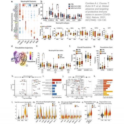 R语言绘图meta分析网状森林图Revman漏斗图亚组逻辑回归RCS聚类