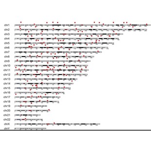 基础医学科研实验外包代做细胞动物疾病实验生信数据分析代做服务