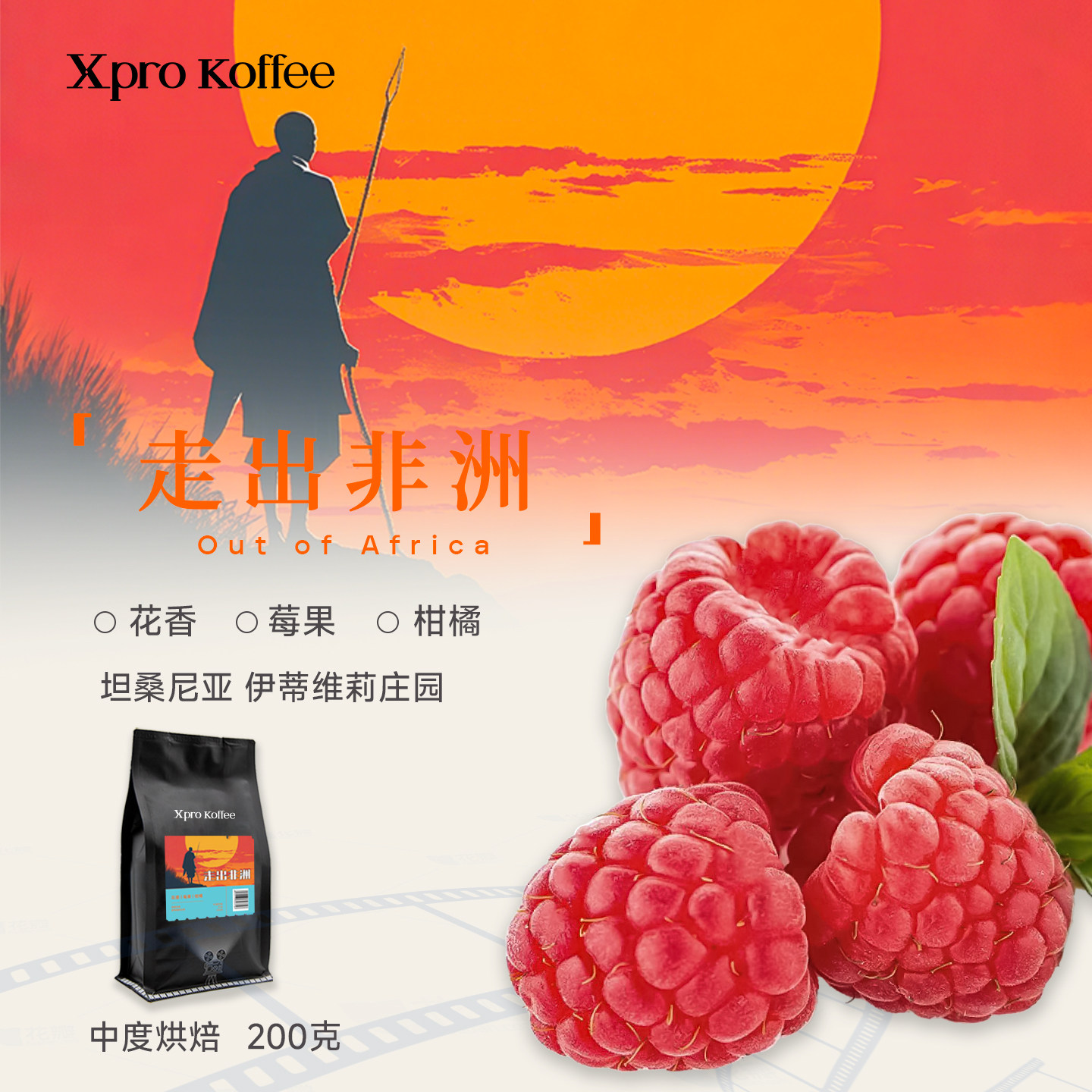 坦桑尼亚手冲咖啡豆