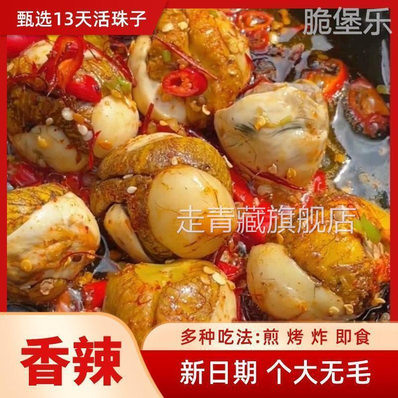 正宗活珠子鸡蛋香辣味五香味真空即食鸡胚蛋红皮无毛熟13天钢化蛋
