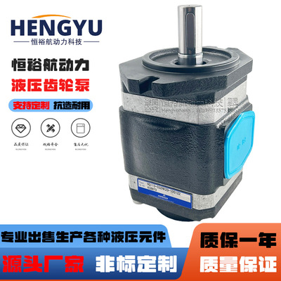 贺尔碧格液压泵HOERBIGER内啮合泵齿轮泵HQI3-032RK23-10S122油泵