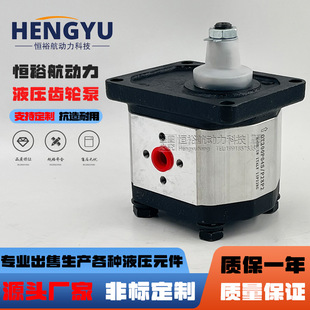 G31S2液压油泵 OT200P11D 布雷维尼Brevini齿轮泵OT200P04S P28P2