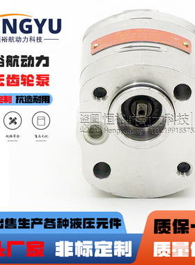 ARGO HYTOS齿轮泵 P23-3.3L.66017 GP1-7,9R-AEKC-SGBGB液压油泵