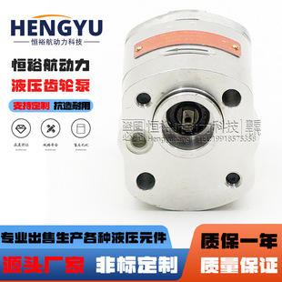 3.3L.66017 GP1 ARGO AEKC P23 SGBGB液压油泵 HYTOS齿轮泵