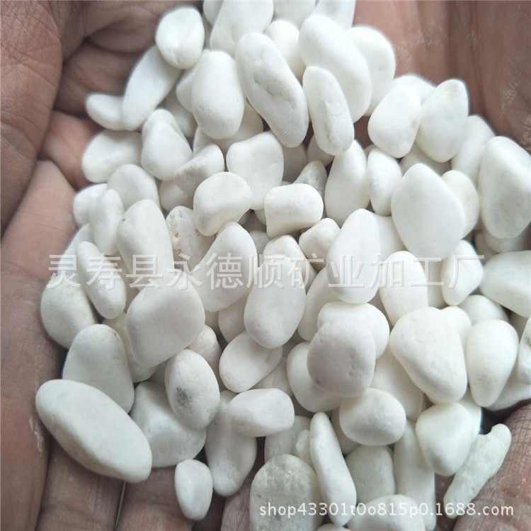园艺白石子白色小石头多肉植物盆栽鱼缸装饰园艺景观碎石鹅卵石