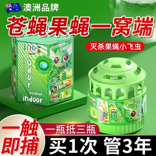 果蝇苍蝇贴强力粘蝇纸粘小飞虫诱捕器自带诱饵料捕蝇笼粘苍蝇神器