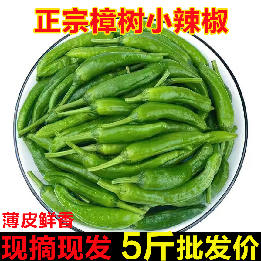 新鲜现摘广西小辣椒产地直发