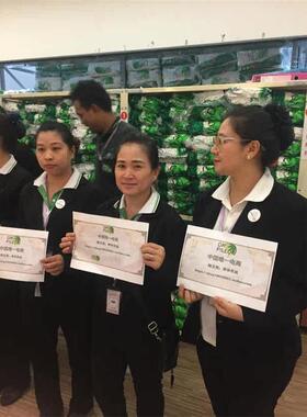 DR.PILLOW 泰国乳胶枕头纯天然护颈椎高低波浪按摩枕原装进口