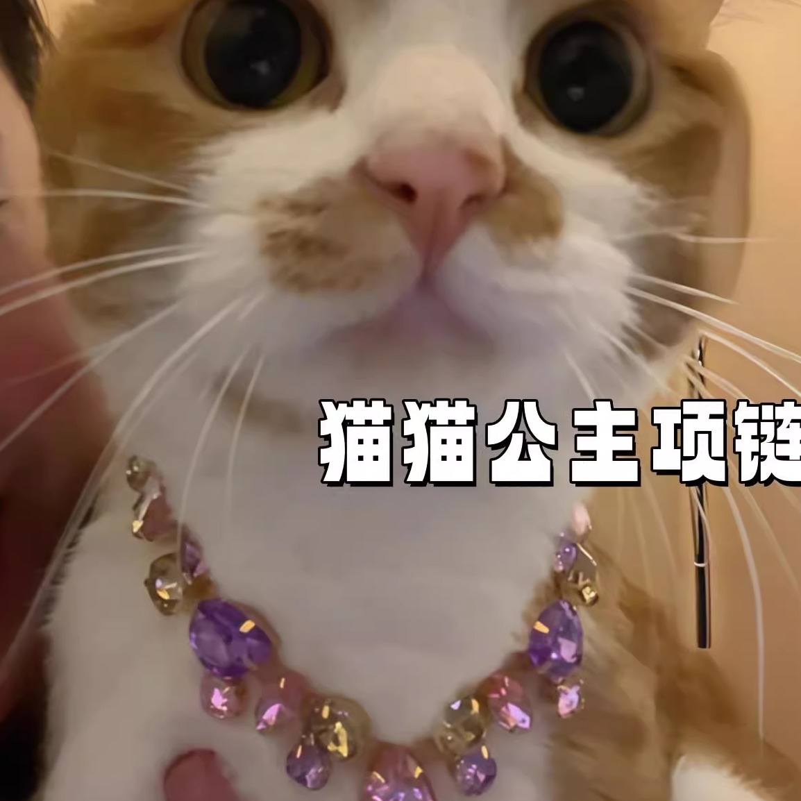 猫项链宠物项圈小狗猫咪项链猫咪生日装扮猫咪用品大全小型犬项链